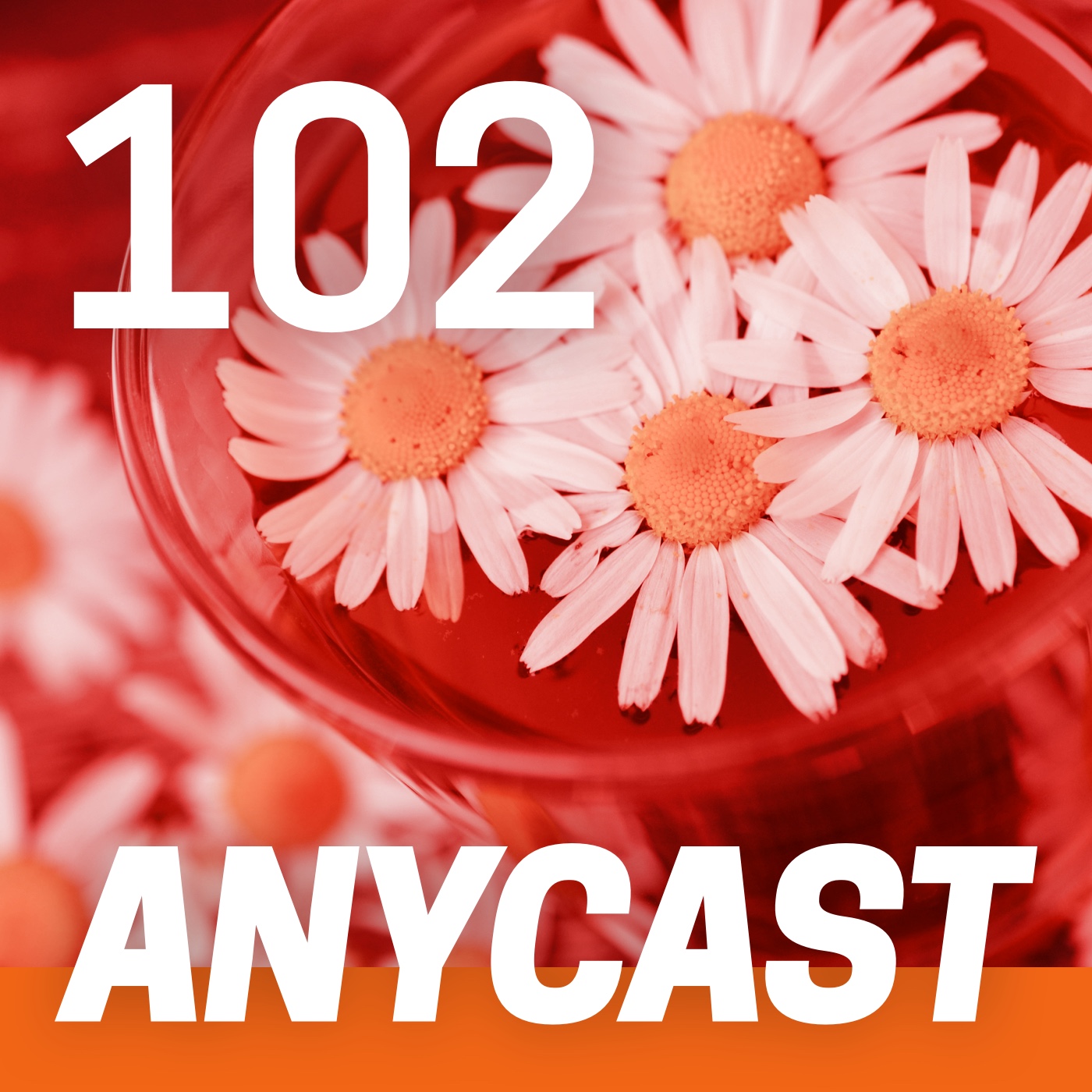 ANYCAST