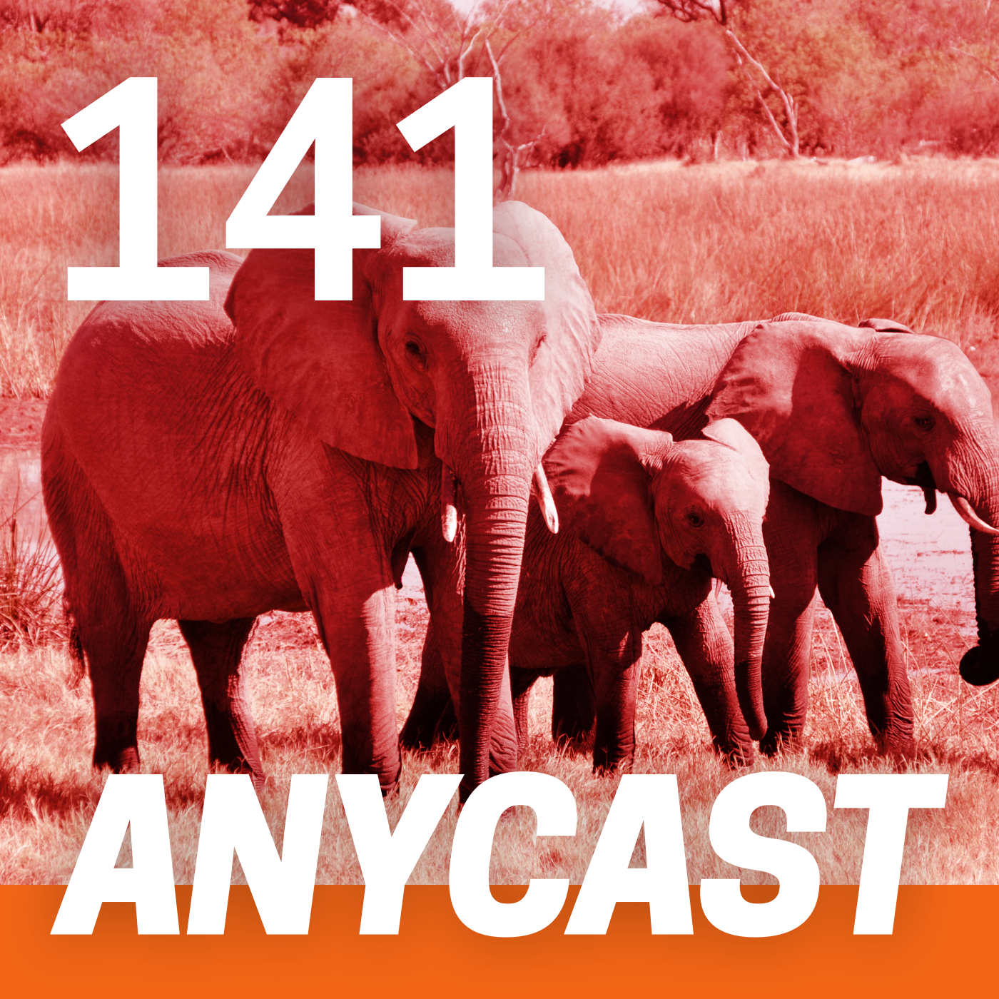 ANYCAST